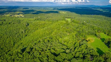 Land in McMinn County, Tennessee