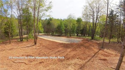 Undeveloped Land for sale in Stokes County, North Carolina