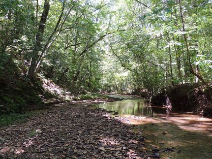 Undeveloped Land for sale in Heard County, Georgia