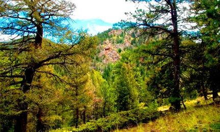 Farm and Ranch for sale in Teller County, Colorado