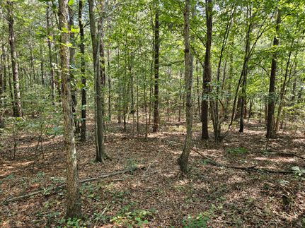 Land for sale in Etowah County, Alabama