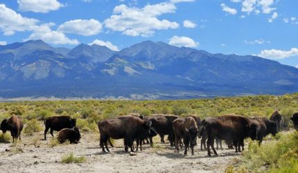Land for sale in Costilla County, Colorado