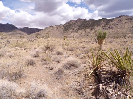 Undeveloped Land for sale in Mohave County, Arizona