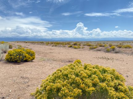 Undeveloped Land in Costilla County, Colorado
