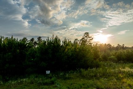 Undeveloped Land for sale in Houston County, Texas