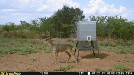 Recreational Property for sale in Duval County, Texas