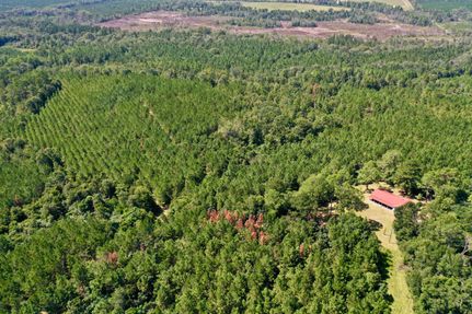 Timberland Property for sale in Telfair County, Georgia