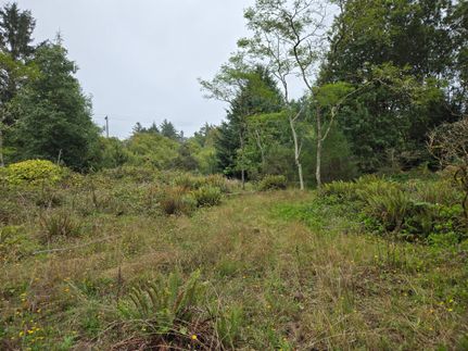 Undeveloped Land in Grays Harbor County, Washington