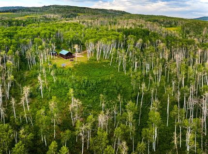 Undeveloped Land for sale in Routt County, Colorado