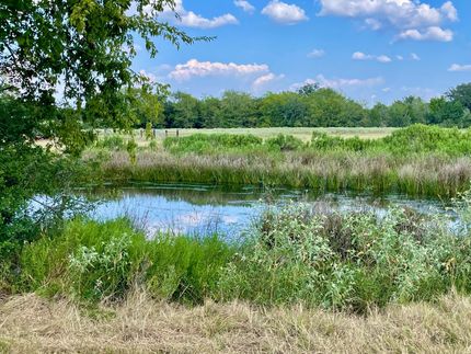 Land for sale in Madison County, Texas