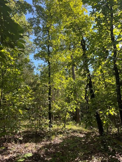 Undeveloped Land for sale in Latimer County, Oklahoma