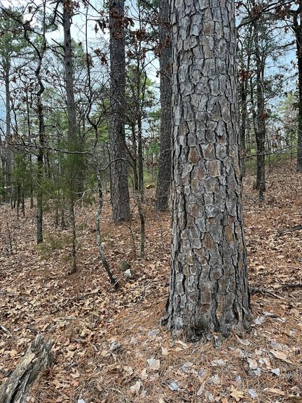 Timberland Property for sale in Le Flore County, Oklahoma