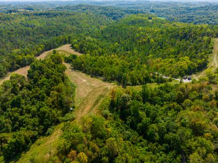 Undeveloped Land for sale in Monroe County, Ohio