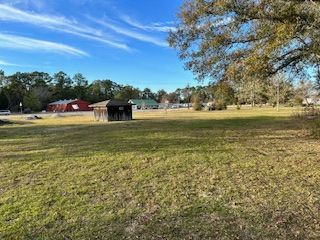 Undeveloped Land for sale in Jasper County, Texas