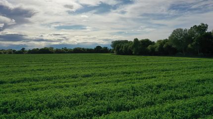 Land for sale in Merced County, California