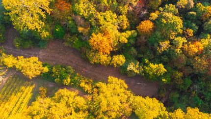 Undeveloped Land for sale in Gallia County, Ohio