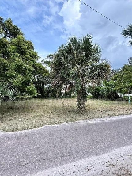 Undeveloped Land for sale in Hillsborough County, Florida