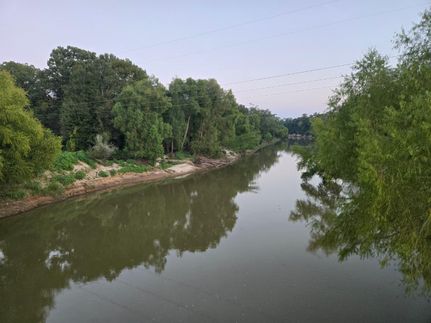 Timberland Property for sale in Panola County, Texas