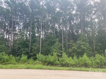 Undeveloped Land for sale in Lancaster County, South Carolina
