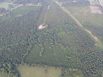 Land for sale in Jefferson Davis County, Mississippi