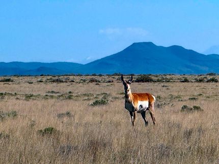 Farm and Ranch for sale in Costilla County, Colorado