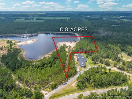 Undeveloped Land for sale in Appling County, Georgia