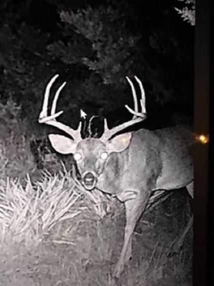 Land for sale in Lampasas County, Texas