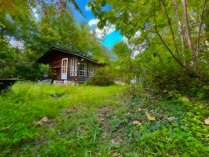Hunting Property for sale in Watauga County, North Carolina