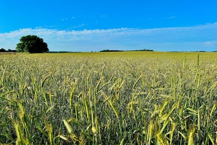 Farm and Ranch for sale in Pratt County, Kansas