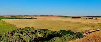 Undeveloped Land for sale in Pratt County, Kansas
