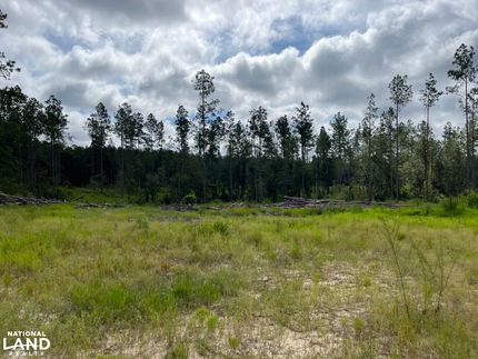Timberland Property for sale in Greene County, Mississippi