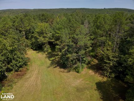 Land for sale in Lamar County, Alabama