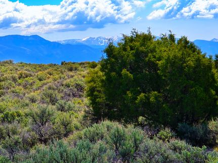 Timberland Property for sale in Taos County, New Mexico