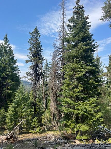 Farm and Ranch for sale in Grant County, Oregon