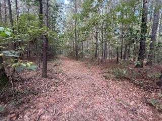 Farm and Ranch for sale in Webster Parish, Louisiana