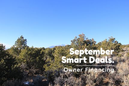 Undeveloped Land in Apache County, Arizona