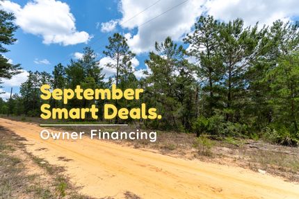 Undeveloped Land in Putnam County, Florida