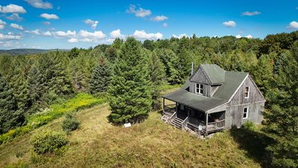Undeveloped Land for sale in Tioga County, New York