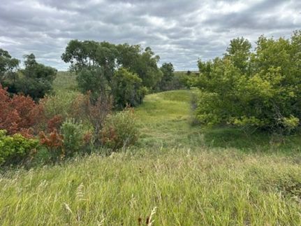 Land for sale in McHenry County, North Dakota