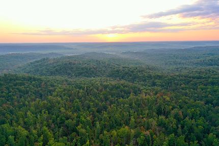 Land for sale in Wayne County, Missouri