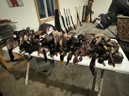 Land for sale in Nelson County, North Dakota