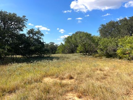 Undeveloped Land for sale in Atascosa County, Texas