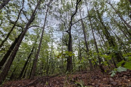 Farm and Ranch for sale in Le Flore County, Oklahoma