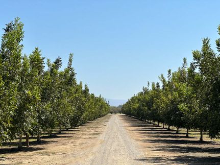 Land for sale in Tehama County, California