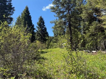 Farm and Ranch for sale in Missoula County, Montana
