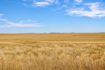 Undeveloped Land in Platte County, Wyoming