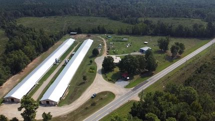 Farm and Ranch for sale in Lincoln County, Arkansas