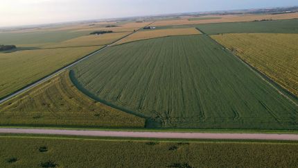 Farm and Ranch for sale in Dodge County, Nebraska