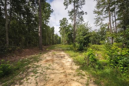 Undeveloped Land in Cumberland County, North Carolina