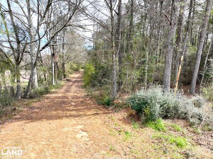 Timberland Property in Amite County, Mississippi
